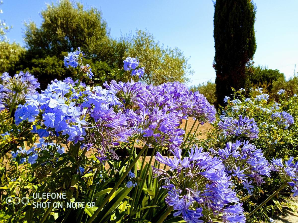 Arcamyrtus Country house Alghero