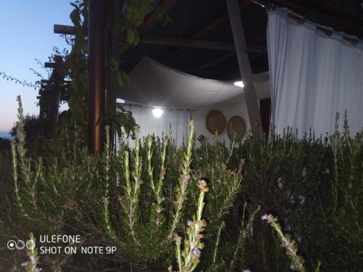 Arcamyrtus Country house Alghero
