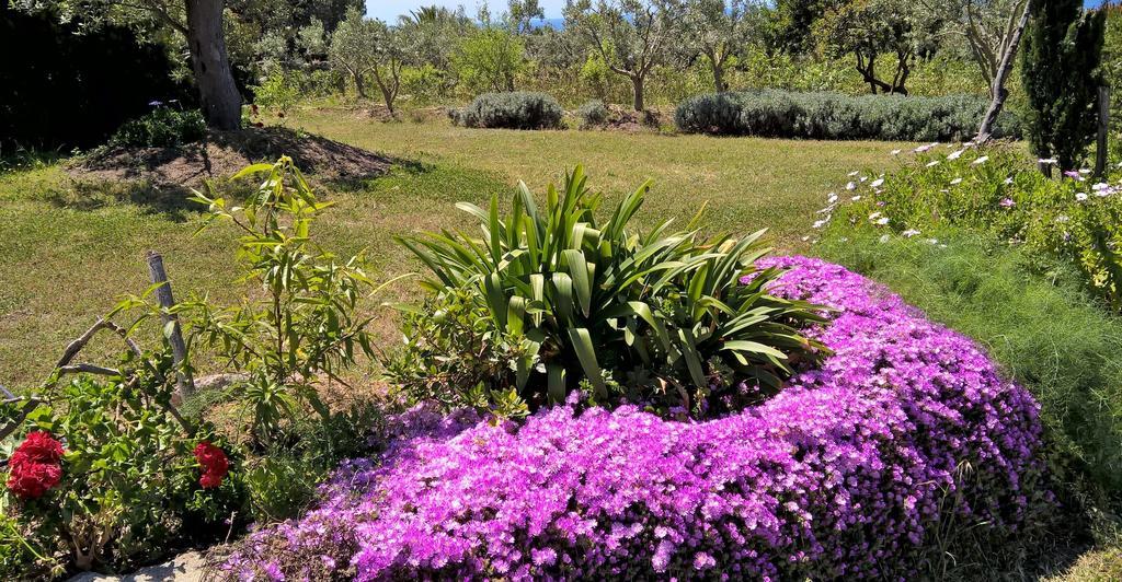 Country house Arcamyrtus Alghero
