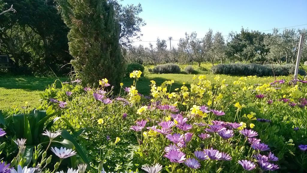 Country house Arcamyrtus Alghero