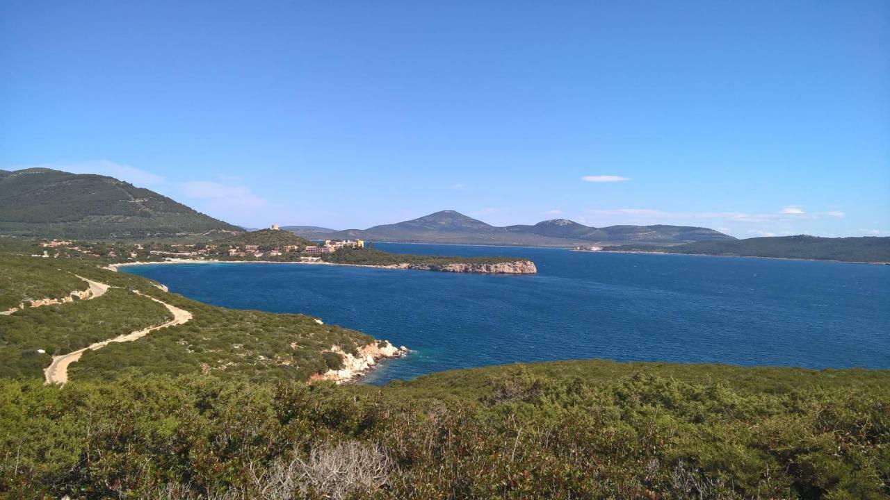 Arcamyrtus * Alghero