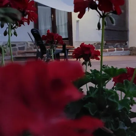 Arcamyrtus Guest House Alghero Exterior photo